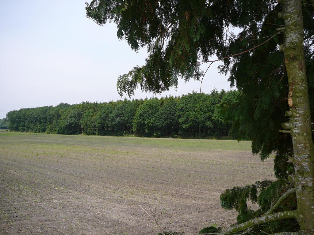Zonneraai Nieuweroord Exterior photo